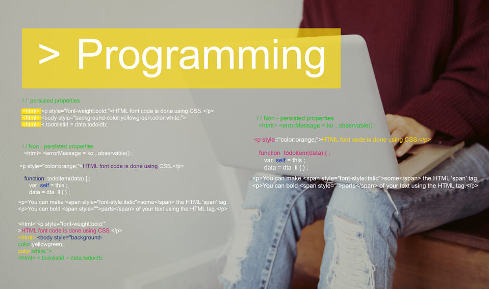 programming a website