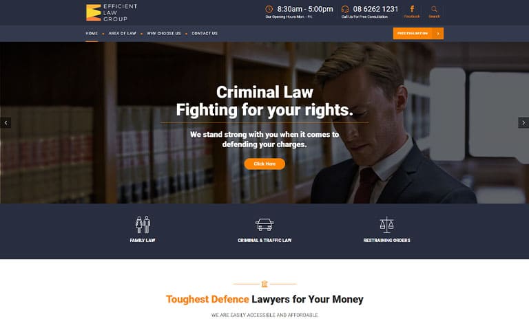 Efficient Law Group homepage sample